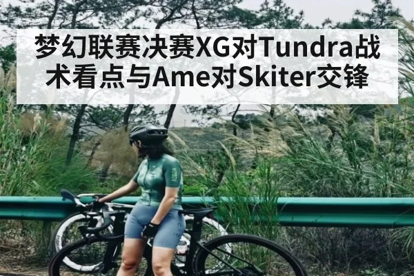 梦幻联赛决赛XG对Tundra战术看点与Ame对Skiter交锋
